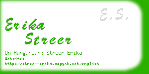 erika streer business card